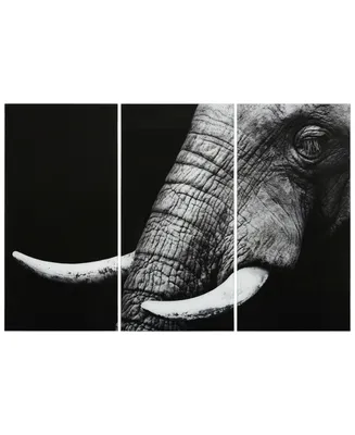 Empire Art Direct "Elephant Abc" Frameless Free Floating Tempered Glass Panel Graphic Wall Art Set of 3, 72" x 36" x 0.2" Each