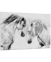 Empire Art Direct "Caballo Blanco Equine" Frameless Free Floating Tempered Glass Panel Graphic Wall Art, 32" x 48" x 0.2"