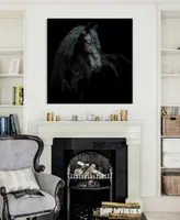 Empire Art Direct "Black Equine Attraction" Frameless Free Floating Tempered Glass Panel Graphic Wall Art, 38" x 38" x 0.2"