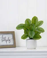 Nearly Natural 12" Artificial Calathea Plant with Decorative Planter