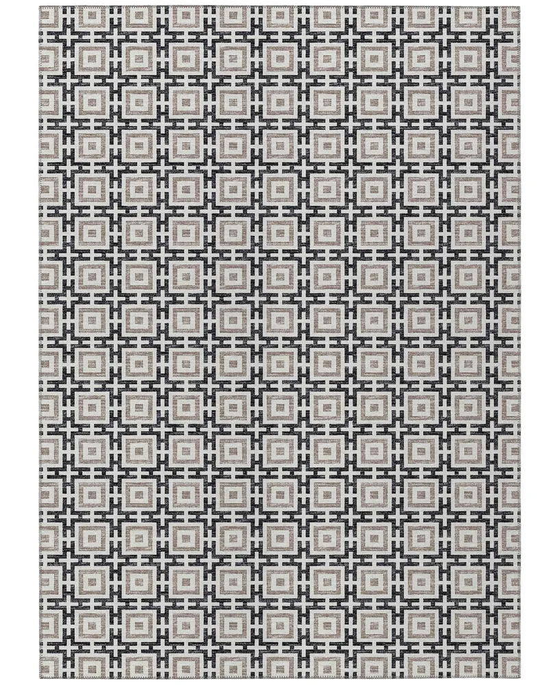 D Style Robbey Washable RBY1 8' x 10' Area Rug