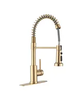 Streamdale Furniture Pull Down Sprayer Spring Kitchen Sink Faucet Brushed Gold