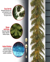 National Tree Company 9' x 10" Tiffany Fir Garland