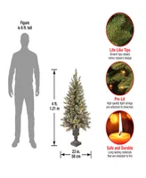 National Tree Company 4' Glittery Bristle Pine Entrance Tree with 100 Clear Lights