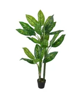 59" Artificial Wide Leaf Dieffenbachia Potted Plant