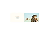 You Stole My Name- The Curious Case of Animals with Shared Names (Picture Book) by Dennis McGregor