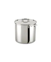 All-Clad Stainless Steel 16 Qt. Stockpot with Lid