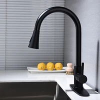Streamdale Furniture Kitchen Faucet With Pull Out Sprayer