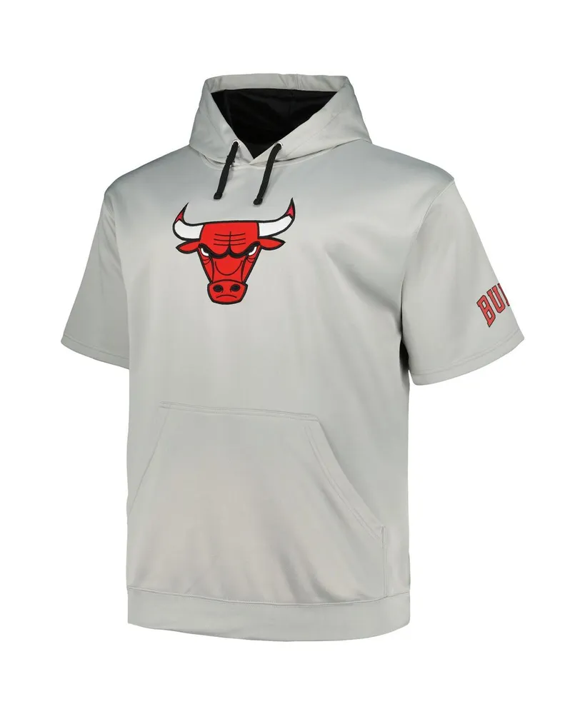 Men's Fanatics Silver Chicago Bulls Big and Tall Logo Pullover Hoodie