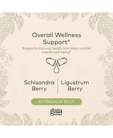 Gaia Herbs Astragalus Supreme - Immune and Antioxidant Support Herbal Supplement - With Astragalus Root, Schisandra Berry, and Ligustrum