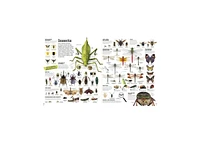 Picturepedia, Second Edition- An Encyclopedia on Every Page by Dk