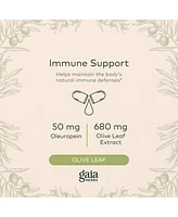 Gaia Herbs Olive Leaf - Traditional Immune Health Support - Immune System Supplement with Olive Leaf Extract and Oleuropein