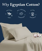 Certified Luxury 100% Egyptian Cotton Sheets, king Sheets for Bed, 4 Piece Deep Pocket Bed Set, Sateen Cooling Hot Sleeper
