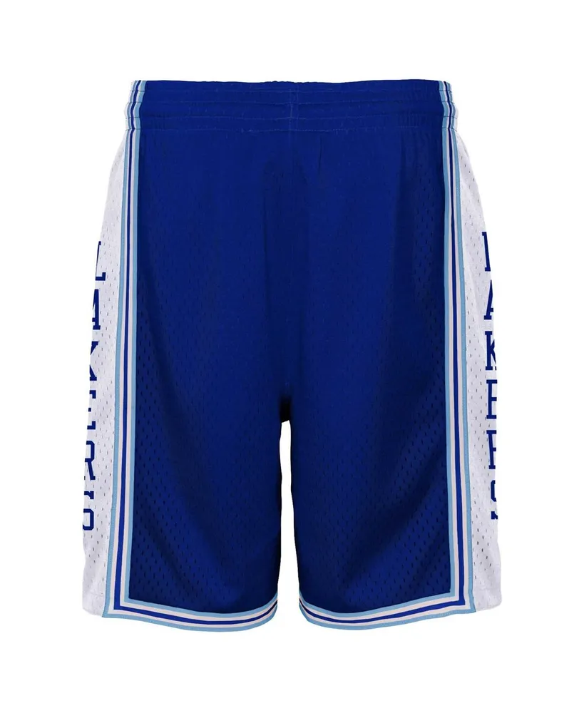 Big Boys Mitchell & Ness Royal Los Angeles Lakers Hardwood Classics Swingman Shorts