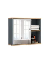 Mirrored Medicine Cabinet Bathroom Wall Mounted with 3-Level Adjustable Shelf