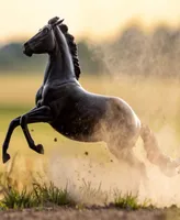 Breyer Horses Amberley Snyder's Atp Power