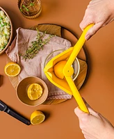 Dreamfarm Lemon Fluicer Fold-Flat Hand-Held Citrus Juicer