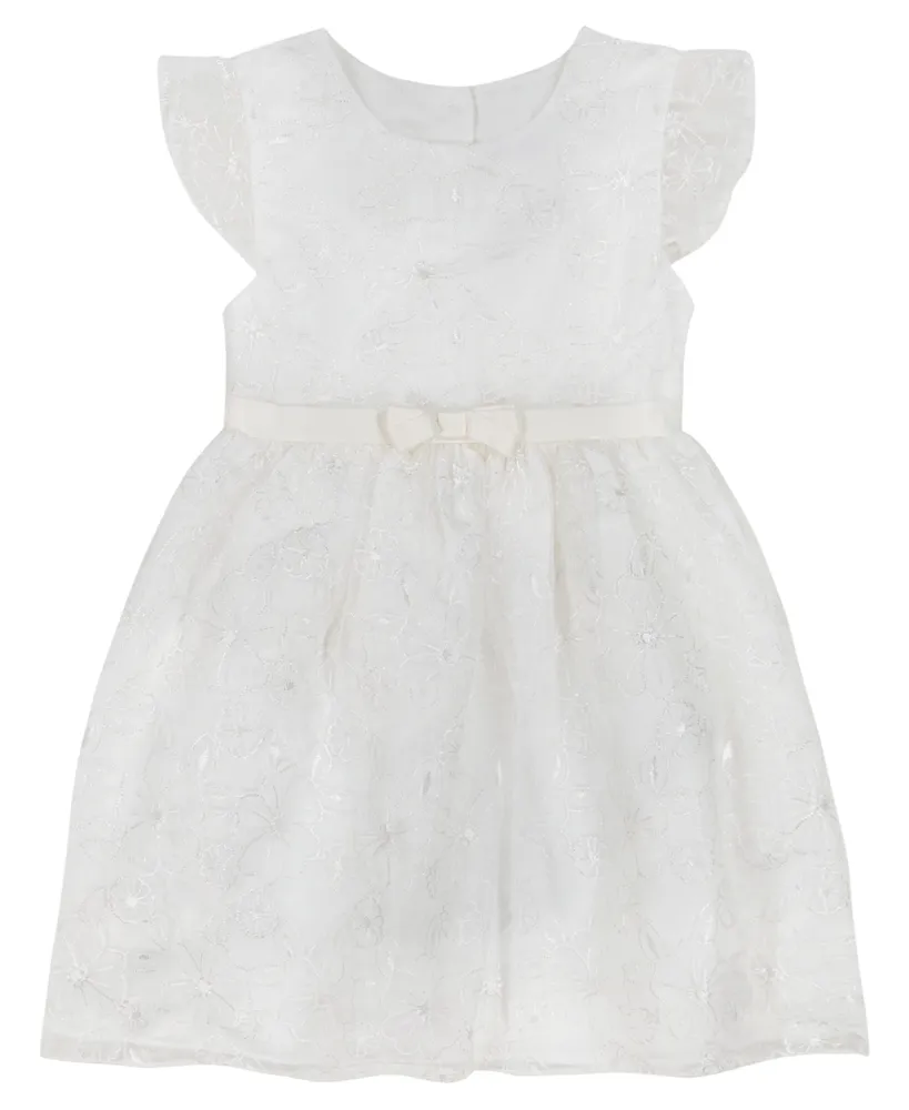 Blueberi Boulevard Little Girls Organza Embroidered Flutter Sleeve Fit-and-Flare Dress