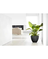 Ecopots Antwerp Modern Indoor and Outdoor Planter, 12in