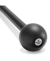 Philosophy Gym Steel Mace Bell Lb, Mace Club for Strength Training