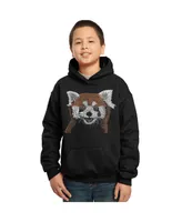 Boy's Word Art Hooded Sweatshirt - Red panda