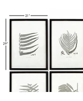 Framed Gray-Tone Fern Prints, Set Of 6