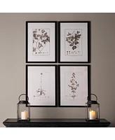 Framed Sepia-Tone Botanical Prints, Set Of 4