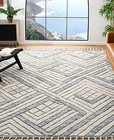 Safavieh Casablanca 409 CSB409 8' x 10' Area Rug