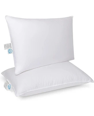 East Coast Bedding Set of 2 Standard Elite Premium Down Dream Firm 600FP