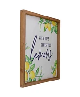 Northlight 16" Wooden Framed "When Life Gives you Lemons" Metal Sign Spring Wall Decor