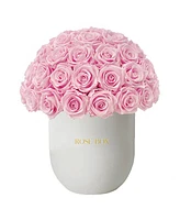 Rose Box Nyc Half Ball of Long Lasting Preserved Real Roses in Premium Ceramic Vase, 50-55 Roses