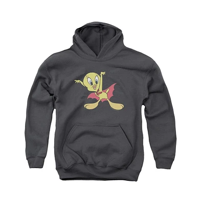 Looney Tunes Boys Youth Vampire Tweety Pull Over Hoodie / Hooded Sweatshirt