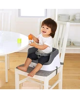 SmartClean Toddler Booster - Slate