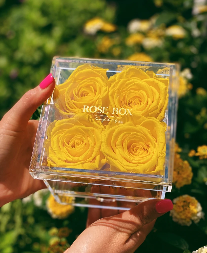 Rose Box Nyc Jewelry box of Bright Yellow Long Lasting Preserved Real Roses, 4 Rose