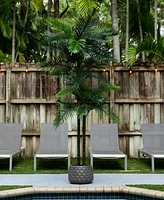 Nearly Natural 8ft. Uv Resistant Artificial Double Robellini Palm Tree Indoor/Outdoor