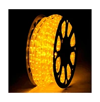 DELight 150FT Warm White Led Neon Rope Lights Cuttable w/ App Remote Waterproof
