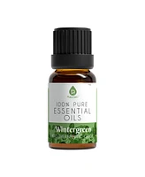 Pursonic 8 pack of 100% Pure Essential Aromatherapy Oils