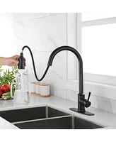 Touch Kitchen Faucet With Pull Down Sprayer