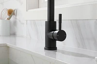 Streamdale Furniture Kitchen Faucet with Pull Out Sprayer