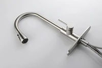 Single Handle High Arc Brushed Nickel Pull Out Kitchen Faucet, Single Level Stainless Steel