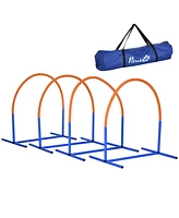 PawHut 4 Piece Dog Agility Training Equipment with Carriage Bag, Blue