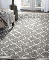 Safavieh Amherst AMT422 Dark Gray and Beige 4' x 6' Area Rug