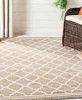 Safavieh Amherst AMT422 Wheat and Beige 3' x 5' Area Rug