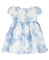 Rare Editions Baby Girl Two-Tone Organza Social Dress