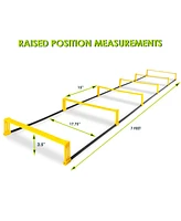 Raised Agility Ladder, 6 rungs