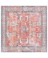 Safavieh Arizona Washable 119 ARZ119 6'x6' Square Area Rug