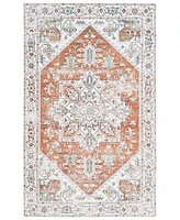 Arizona Washable Arz120 Rug Collection