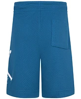 Jordan Little Boys Dri-fit Baseline Shorts