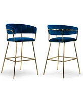 Glamour Home 30" Anya Fabric, Metal Barstool, Set of 2