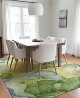 Addison Chantille Machine Washable ACN504 8'x10' Area Rug
